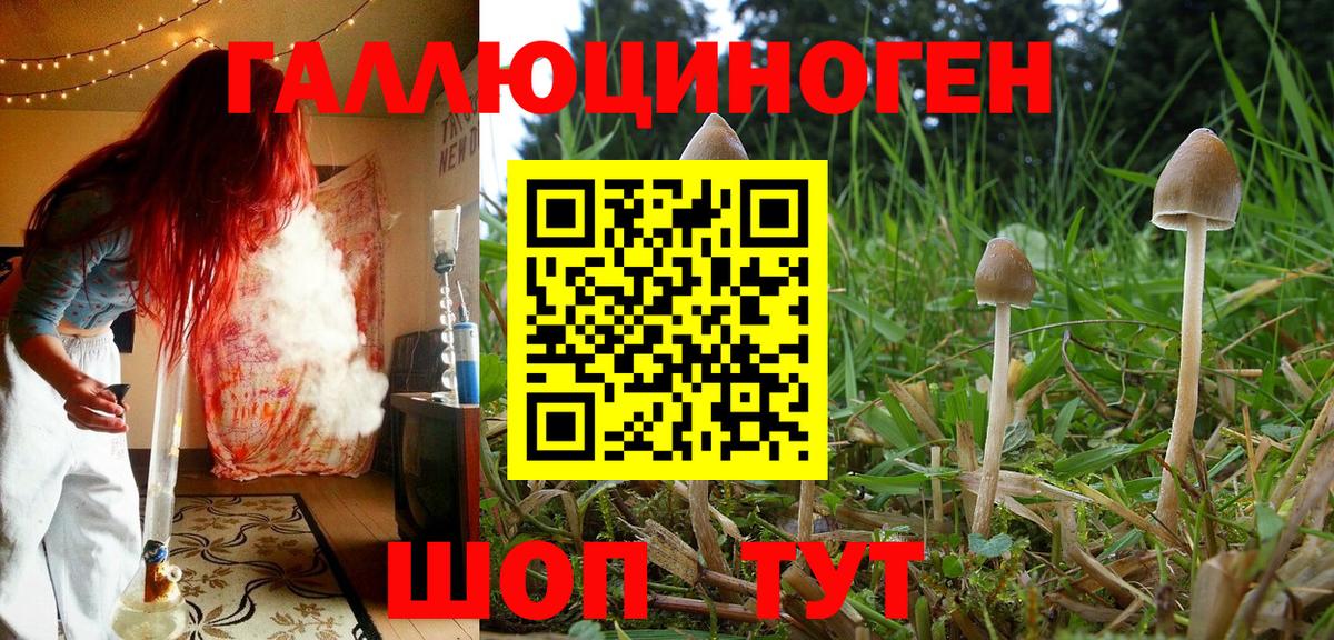 Псилоцибиновые грибы ЛСД Нижневартовск