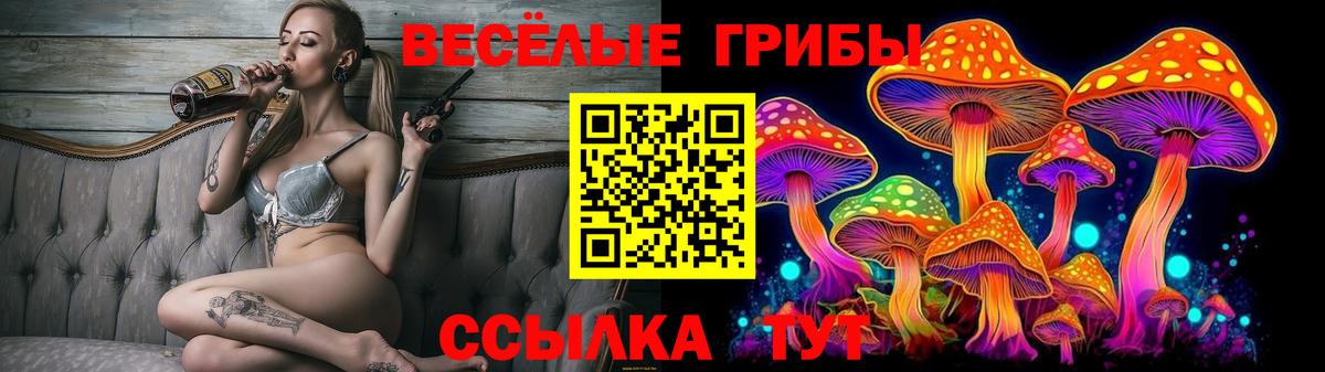 закладки  Вход с VPN  Нижневартовск  Галлюциногенные грибы Psilocybe 
